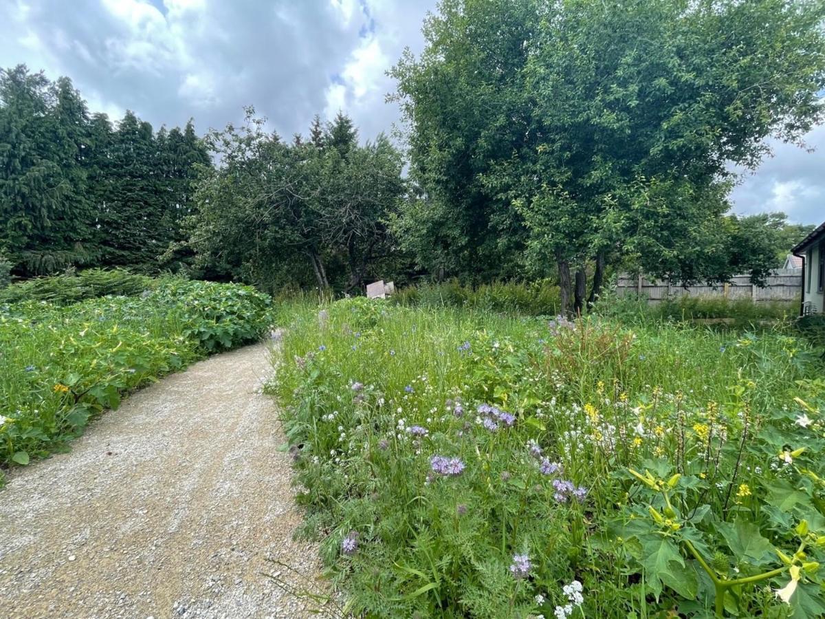 The Bearded Goat Den - A Rural Retreat At This Modern Holiday Cottage Saint Leonards Zewnętrze zdjęcie