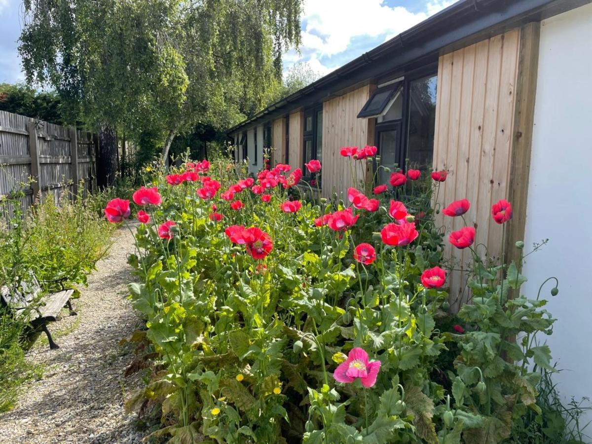 The Bearded Goat Den - A Rural Retreat At This Modern Holiday Cottage Saint Leonards Zewnętrze zdjęcie